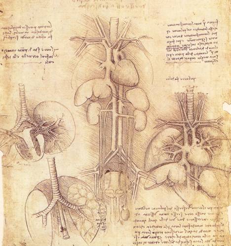 Leonardo e l'Anatomia
