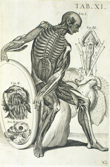 Pietro da Cortona e l'Anatomia