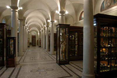 Museo di Anatomia Umana "Luigi Rolando" dell'Università di Torino